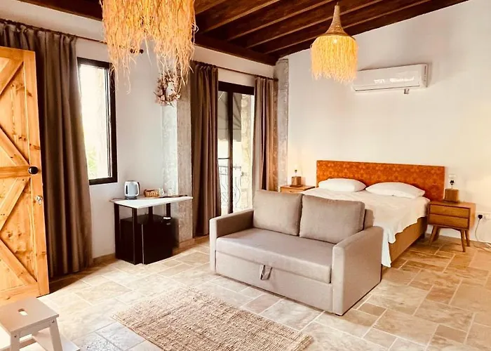 Bed and breakfast The Iskemleci 4*