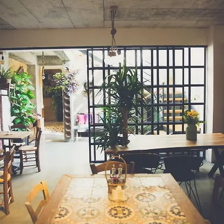 Bed and breakfast The Iskemleci Nicosia
