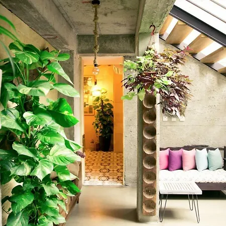 Bed and breakfast The Iskemleci Nicosia